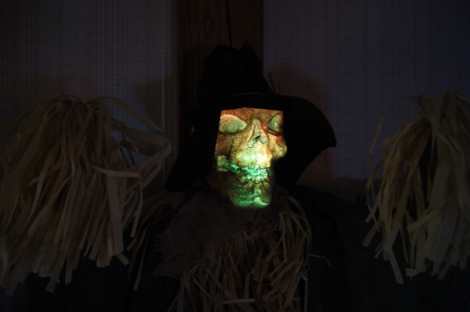 Creepy Lighted Scarecrow (Ross Dress for Less)